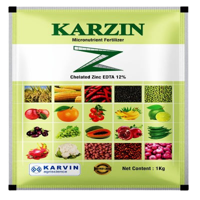 4rr1__1_-removebg-preview