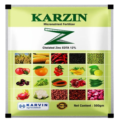 4rr2__1_-removebg-preview