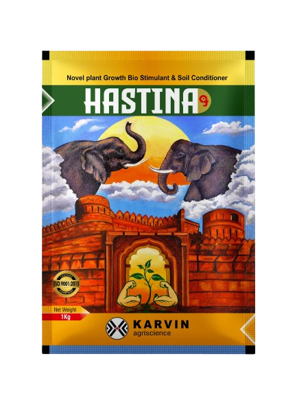 Hastina_1kg