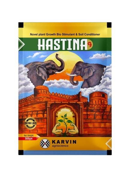 Hastina_500g