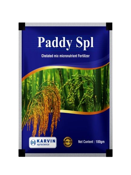 Paddy-100gm