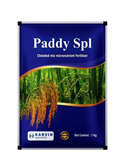 PaddySpl-1KG