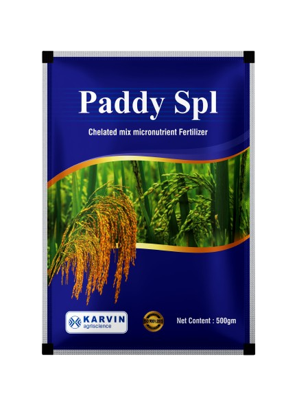 PaddySpl-500G